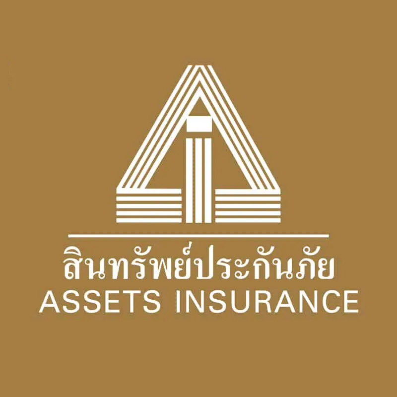 Assets Insurance